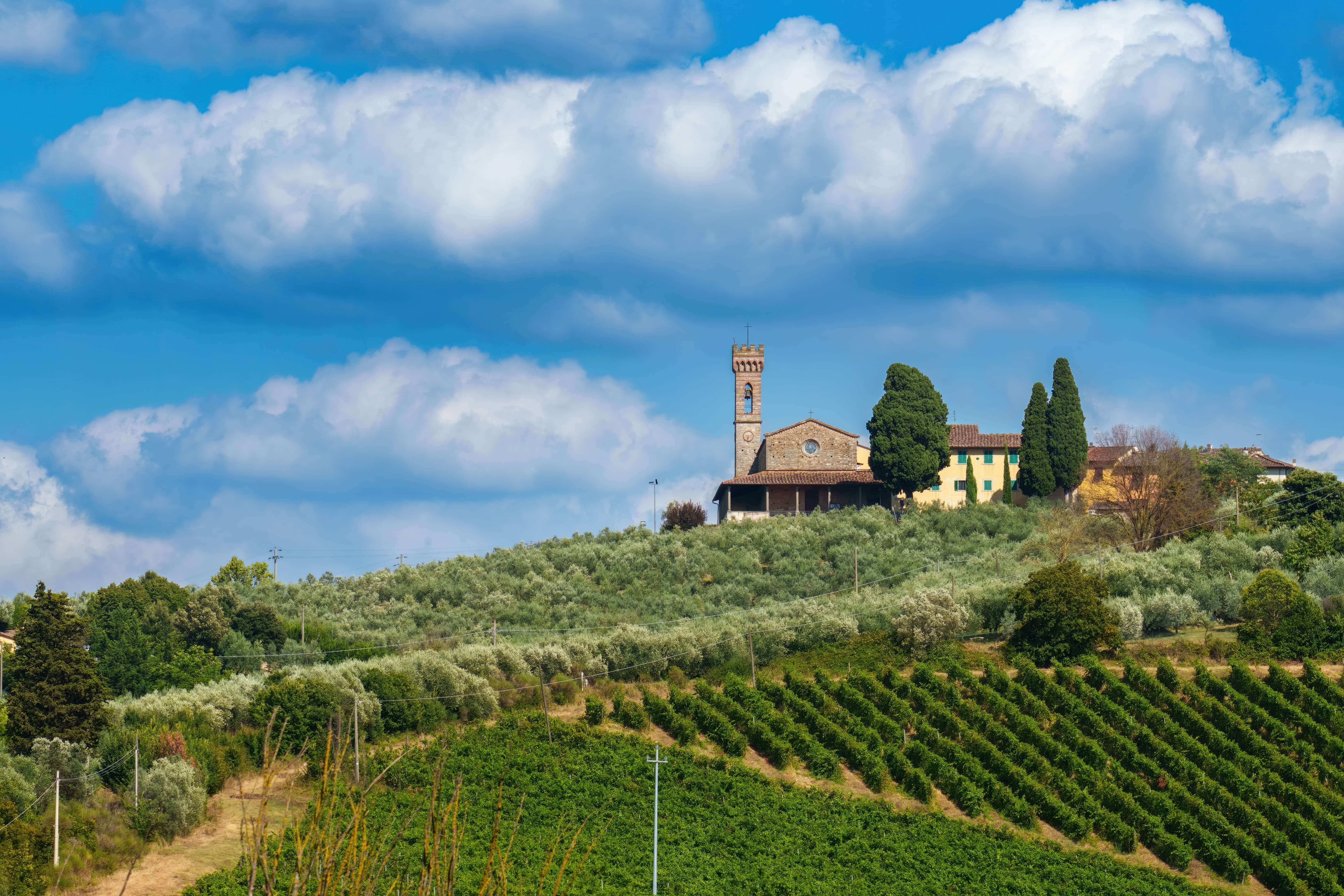 Rural landscape of Chianti, Florence province, Tuscany, Italy, at summer